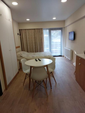 Bakuriani Inn Apartment #13